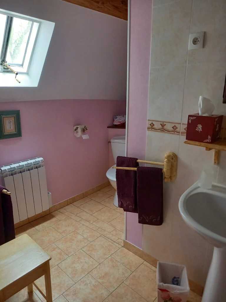 salle d'eaux (chambre bordeaux)