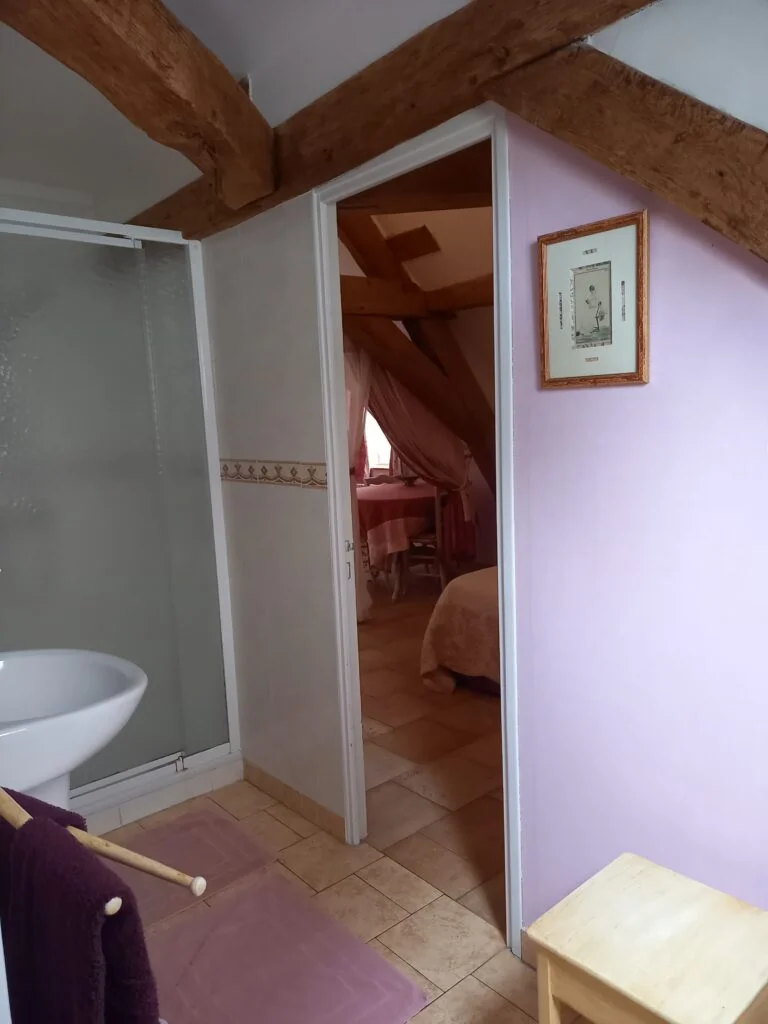 salle d'eaux ( chambre bordeaux)
