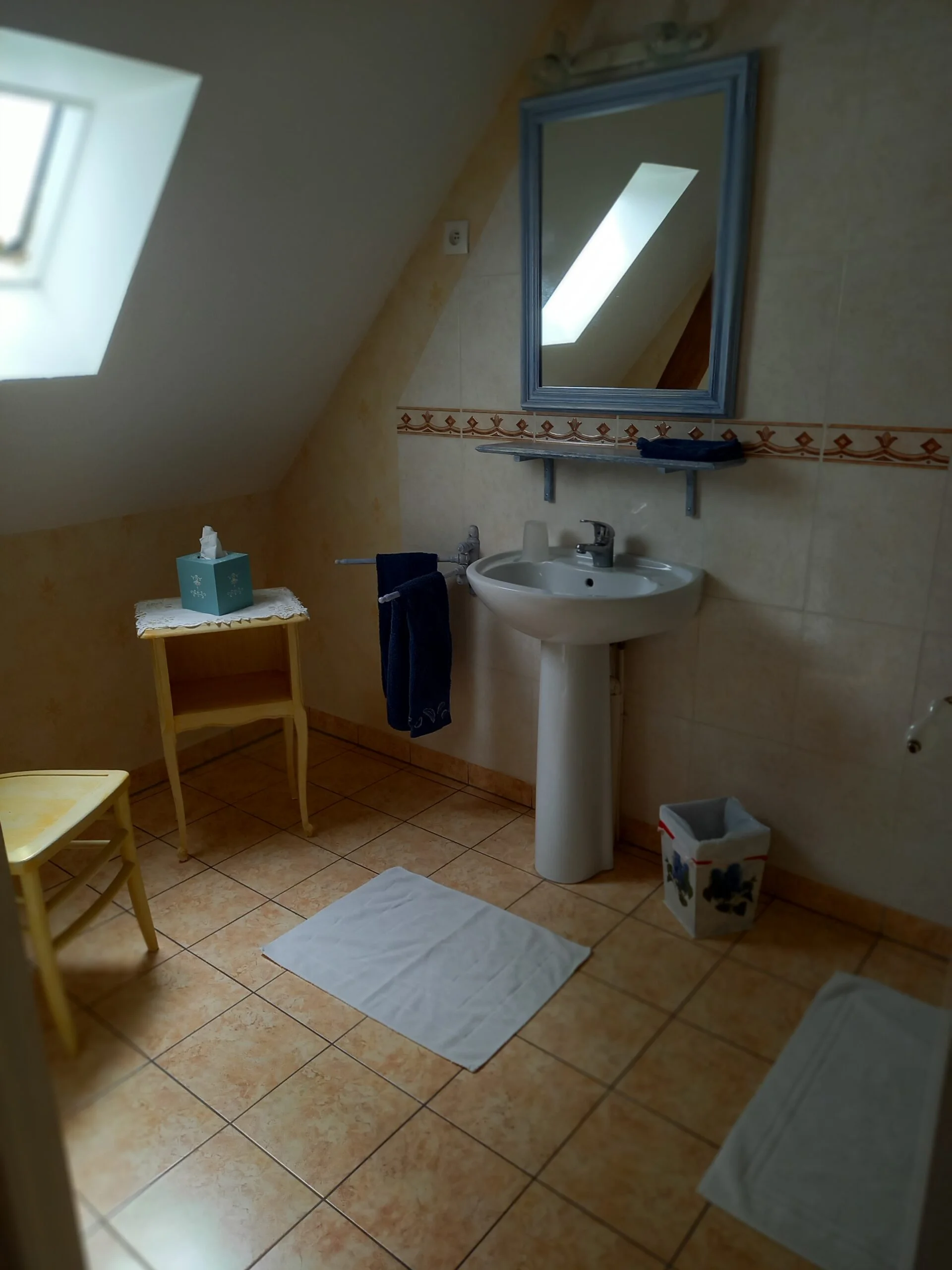 salle d'eau (chambre bleue)