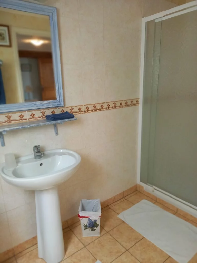 salle d'eau ( chambre bleue)